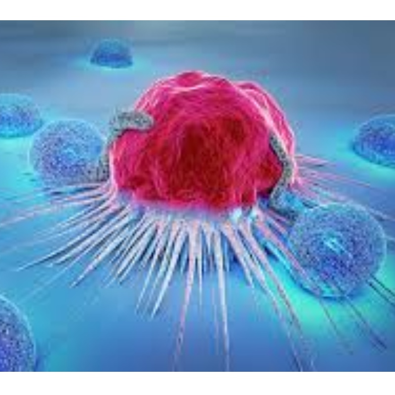 Giappone: NMN resiste alla senescenza delle cellule immunitarie e inibisce la crescita del tumore del 71,4%